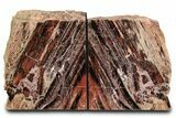 Tall, Arizona Petrified Wood Bookends - Red and Black #382165-1